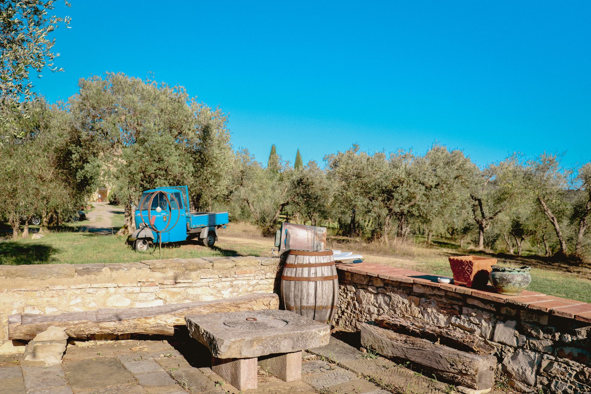 Rustic organic dining table with wine and fresh artisan bread in orchard
